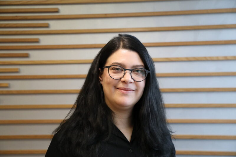 Riikka Liedes, STUL ry